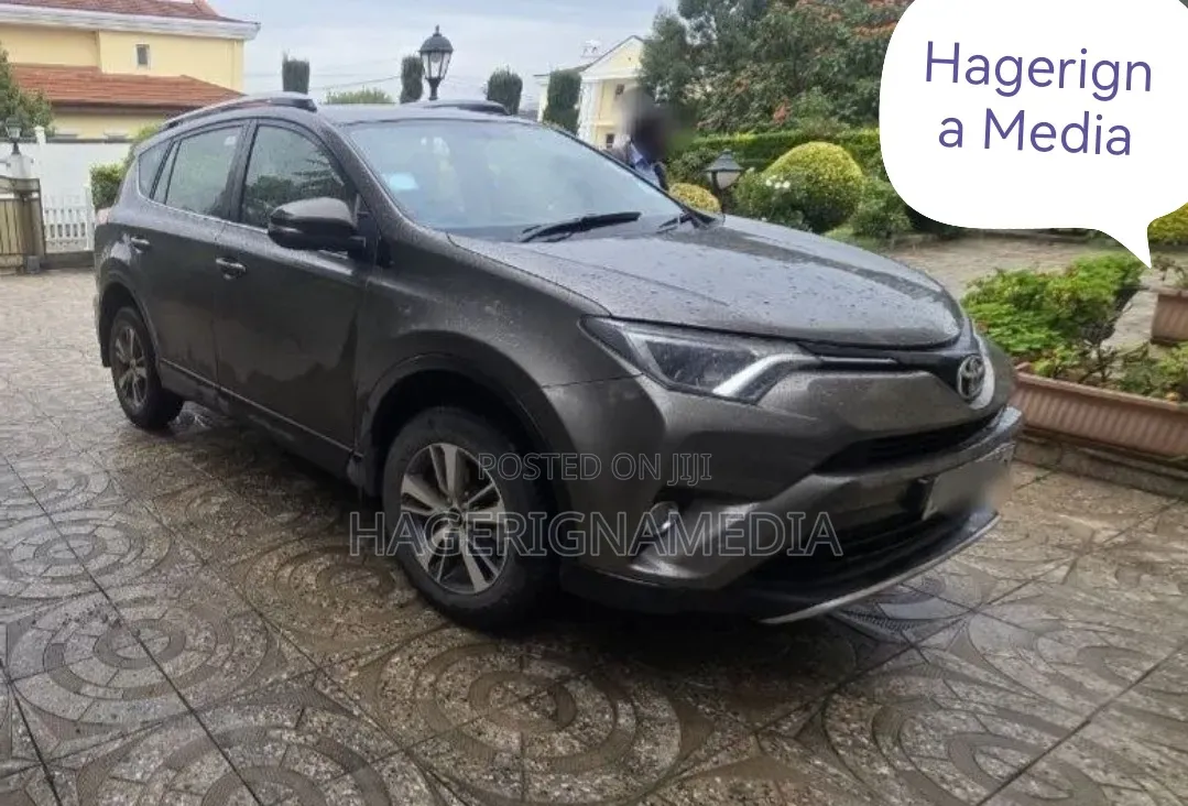 Toyota RAV4 2017 Gray
