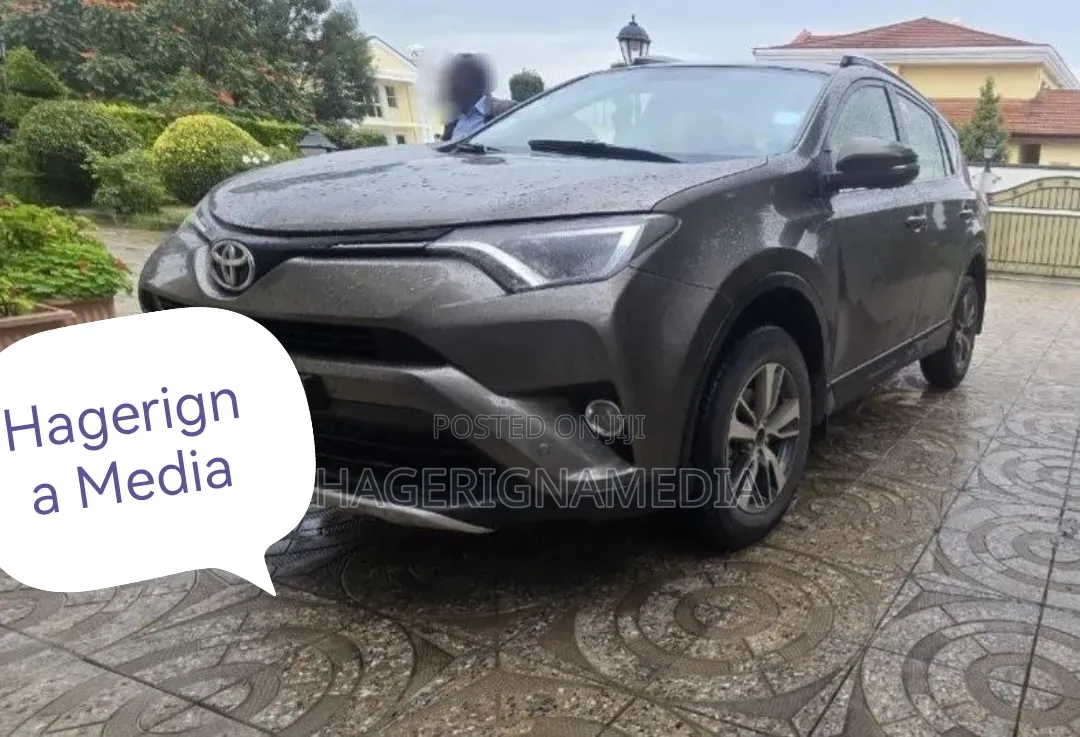 Toyota RAV4 2017 Gray
