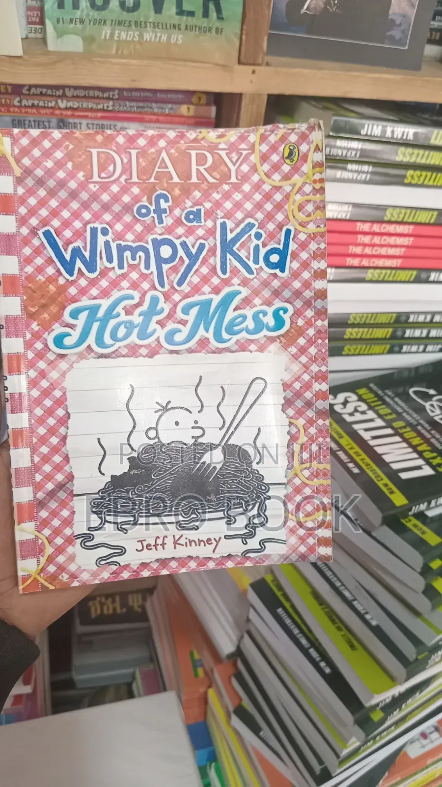 Diary of Wimpy Kid (Hot Mess)