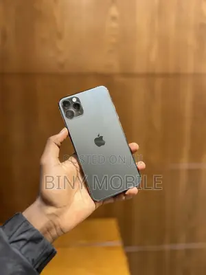 Apple iPhone 11 Pro Max 256 GB Gray