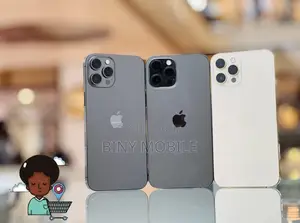 Apple iPhone 12 Pro Max 256 GB Gray