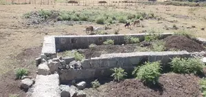 መሰረት የወጣ Yemehaber Bota Keniteri Gara Bolo Sheger Admi
