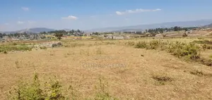መሰረት የወጣ Yemehaber Bota Keniteri Gara Bolo Sheger Admi