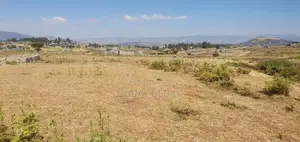 መሰረት የወጣ Yemehaber Bota Keniteri Gara Bolo Sheger Admi