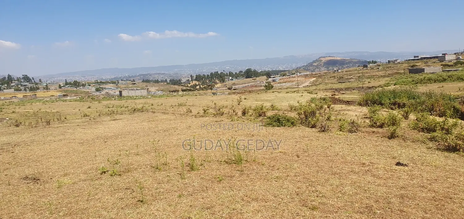 መሰረት የወጣ Yemehaber Bota Keniteri Gara Bolo Sheger Admi