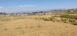 መሰረት የወጣ Yemehaber Bota Keniteri Gara Bolo Sheger Admi