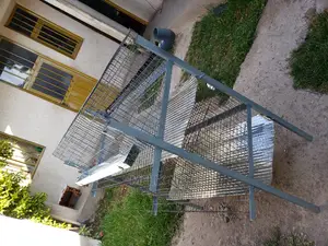Chicken Cage የዶሮ ቤት
