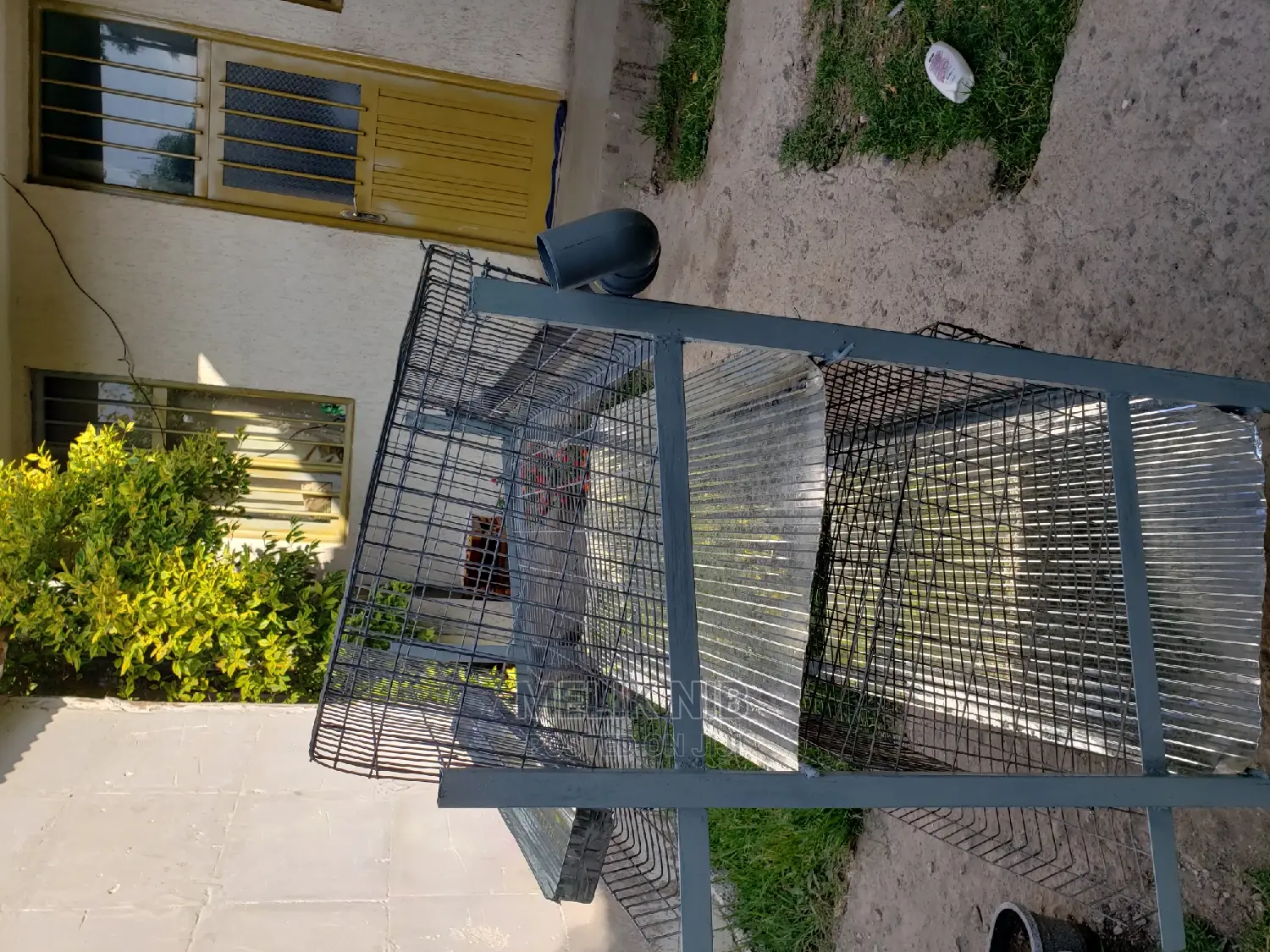 Chicken Cage የዶሮ ቤት