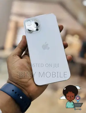 Apple iPhone 12 Pro Max 128 GB Silver