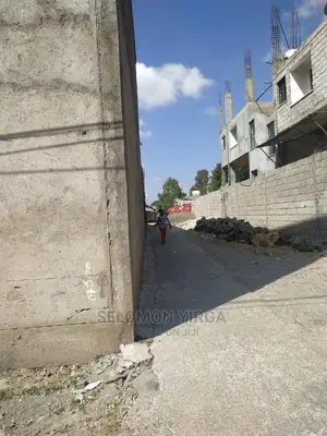 ከፍታዉ 6ሜትር ነዉ ፈለፊቱ 45 ሜትር ነዉ