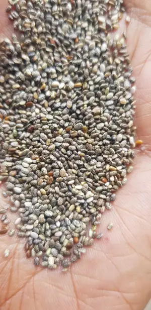 ቺሃ ሲድ በቀላሉ ያለዳይት ውፍረት ለመቀነስ
