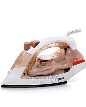 Impex Steam and Dry Iron