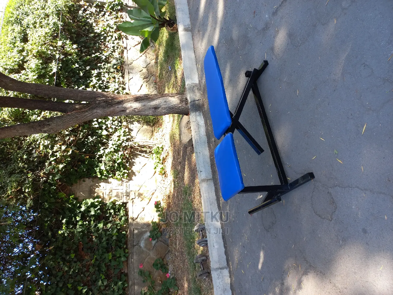 Workout Bench