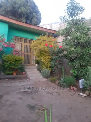 የሚሸጥ ሚያኖር ቤት ያለው ቦታ