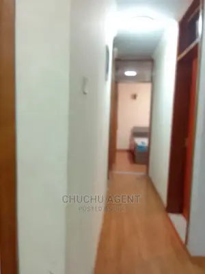 Furnished 2bdrm Apartment in Bole for rent