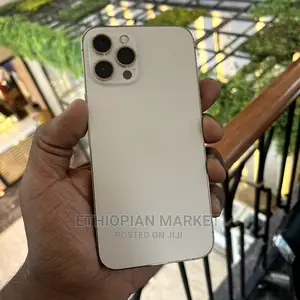 Apple iPhone 12 Pro Max 256 GB Gold