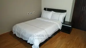 Furnished 1bdrm Apartment in Addes  Abeba, Bole for rent