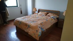 Furnished 3bdrm Apartment in Addis Abeba, Kirkos for Rent