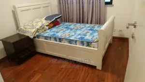 Furnished 3bdrm Apartment in Addsi Abebe, Kirkos for rent