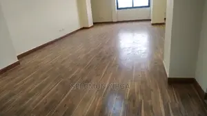 4bdrm Penthouse in Addis Abiba, Bole for rent