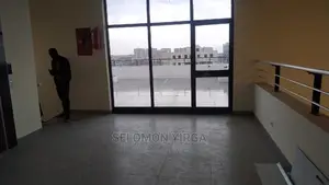 4bdrm Penthouse in Addis Abiba, Bole for rent