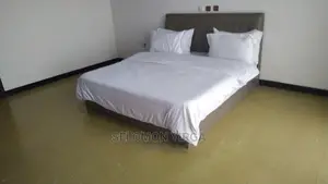 Furnished 5bdrm House in Addis Abba, Bole for rent