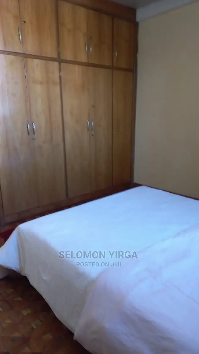 Furnished 6bdrm Duplex in አድስ አበባ, Bole for Sale