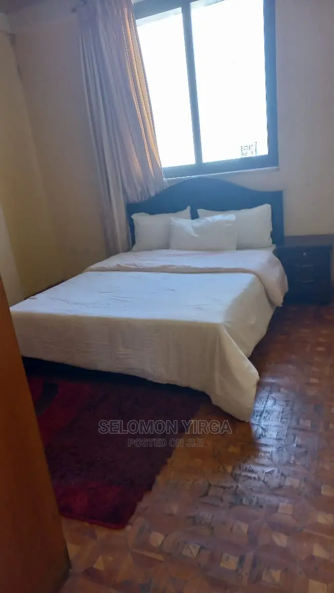 Furnished 6bdrm Duplex in አድስ አበባ, Bole for Sale