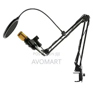 High Quality Condenser Microphone