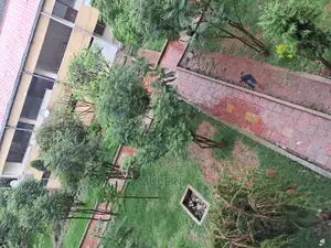 Furnished 1bdrm Condo in ኣባዶ ኮንደሚኒየም, Yeka for Sale