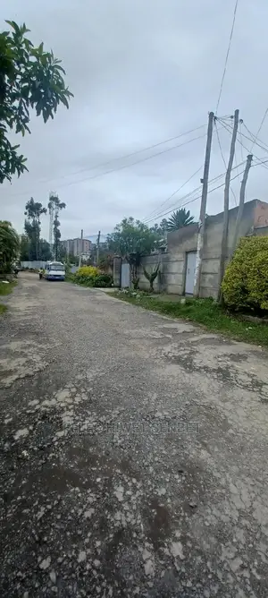 የሚሸጥ የድሮ ቪላ ቤት ያለው ቦታ