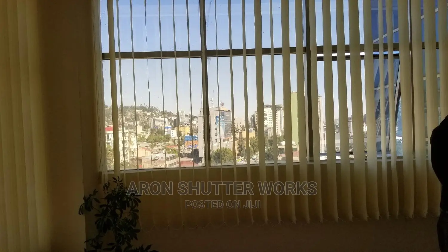 Vertical Blind
