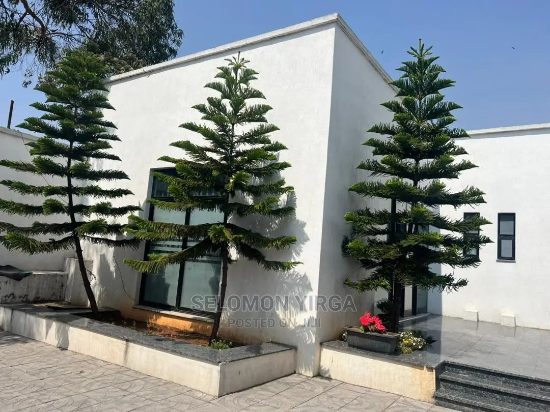 3bdrm House in አድስ አበባ, Bole for sale