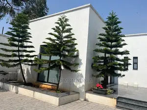 3bdrm House in አድስ አበባ, Bole for sale