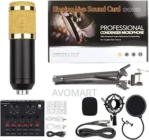 Audio Condenser Microphone