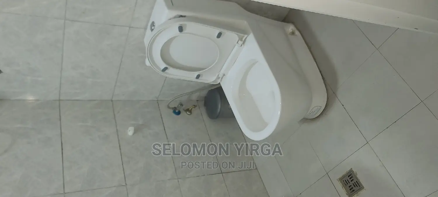 Furnished 8bdrm House in Adids Abba, Bole for rent