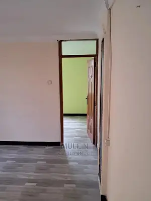 Furnished 1bdrm Condo in ኣባዶ ኮንደሚኒየም, Yeka for sale