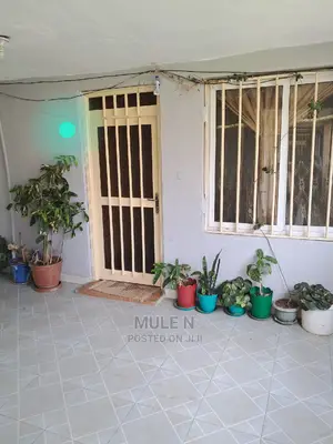 Furnished 1bdrm Condo in ኣባዶ ኮንደሚኒየም, Yeka for sale