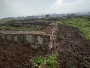 140 ካሜ የማህበር ቦታ አቅጣጫ መንገድ ያዋስናል 150 ካሬ ትርፍ ቦታ ያለው