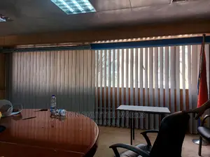Vertical Blind