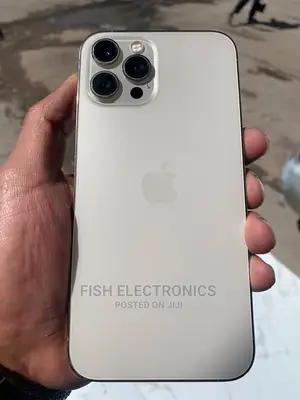 Apple iPhone 12 Pro Max 256 GB Gold