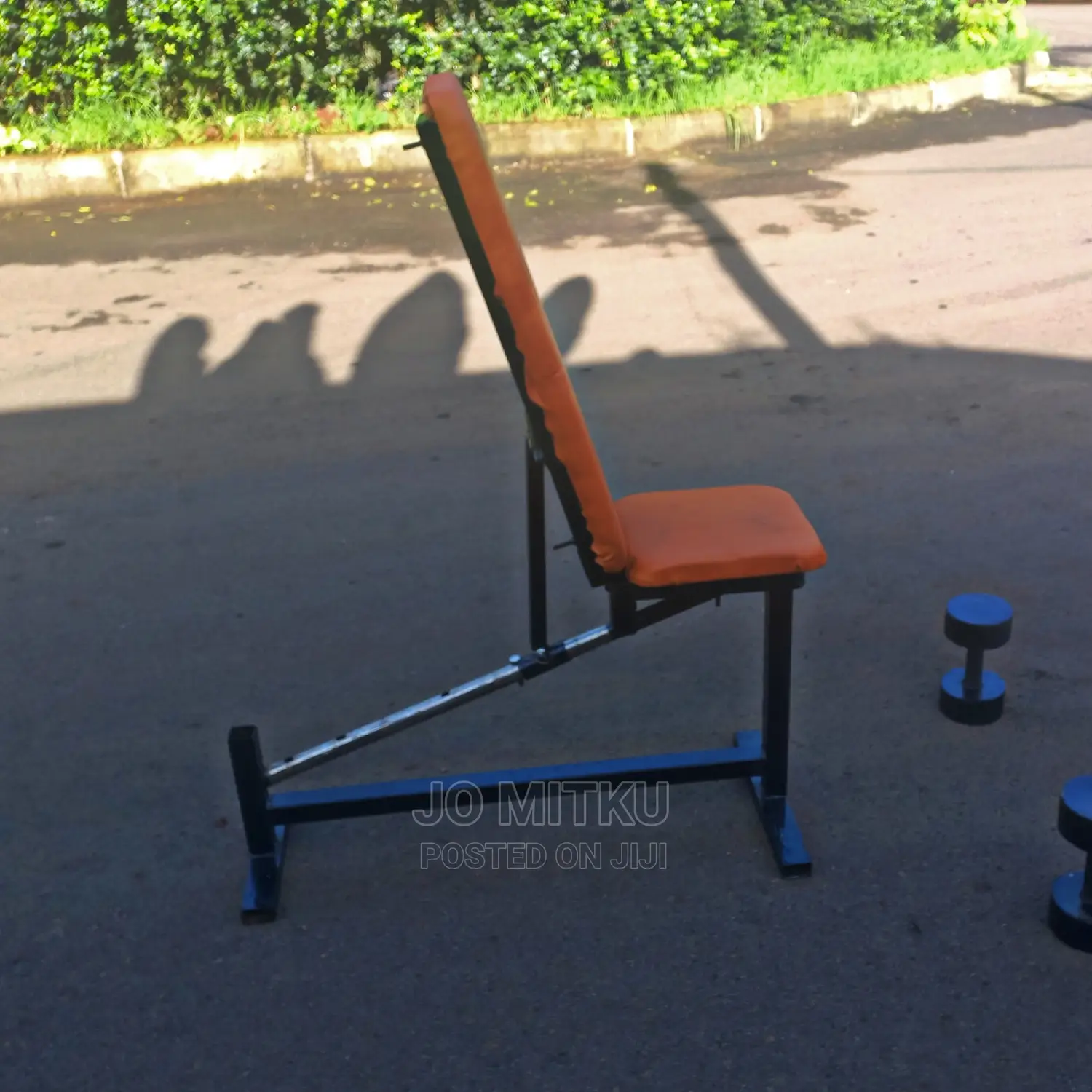 Workout Bench