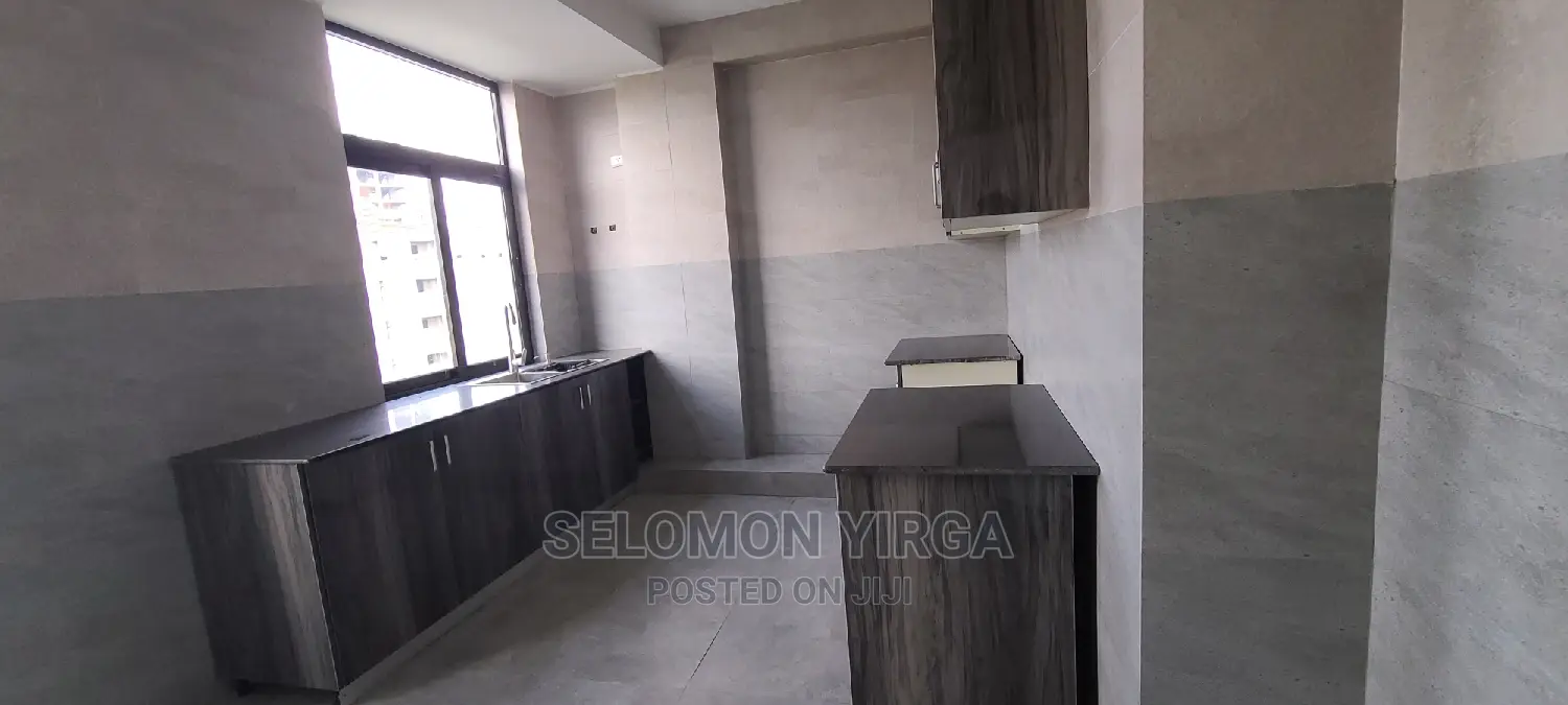 Furnished 4bdrm Penthouse in Adids Abba, Bole for rent
