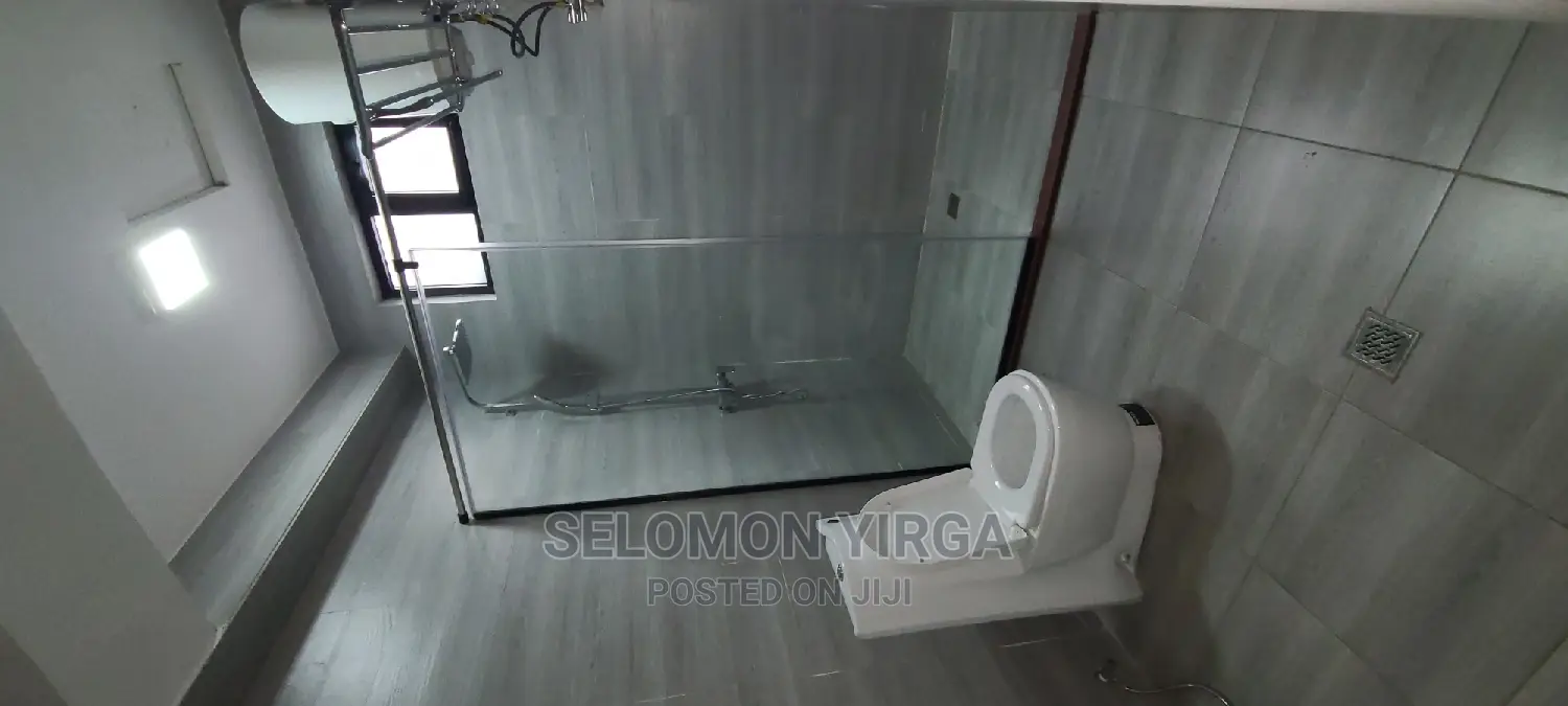 Furnished 4bdrm Penthouse in Adids Abba, Bole for rent