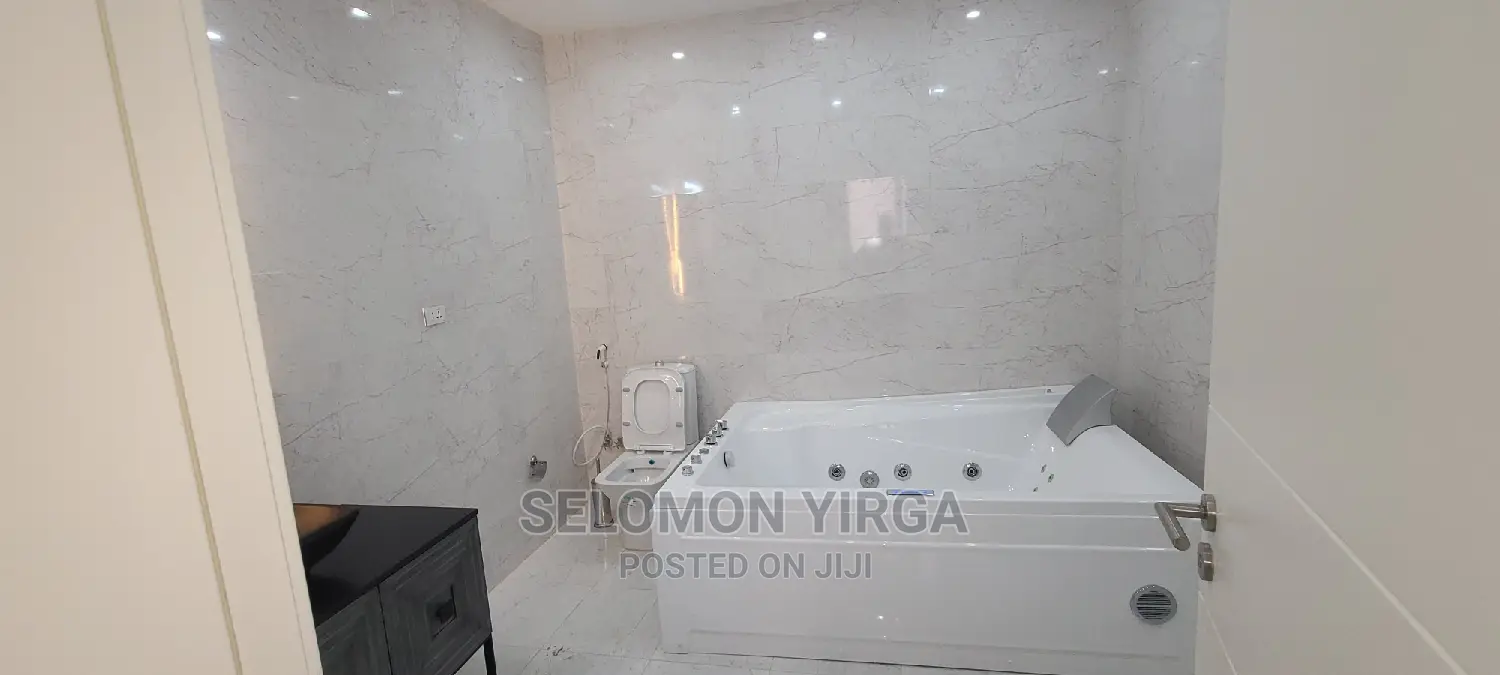 Furnished 4bdrm Penthouse in Adids Ababa, Bole for rent