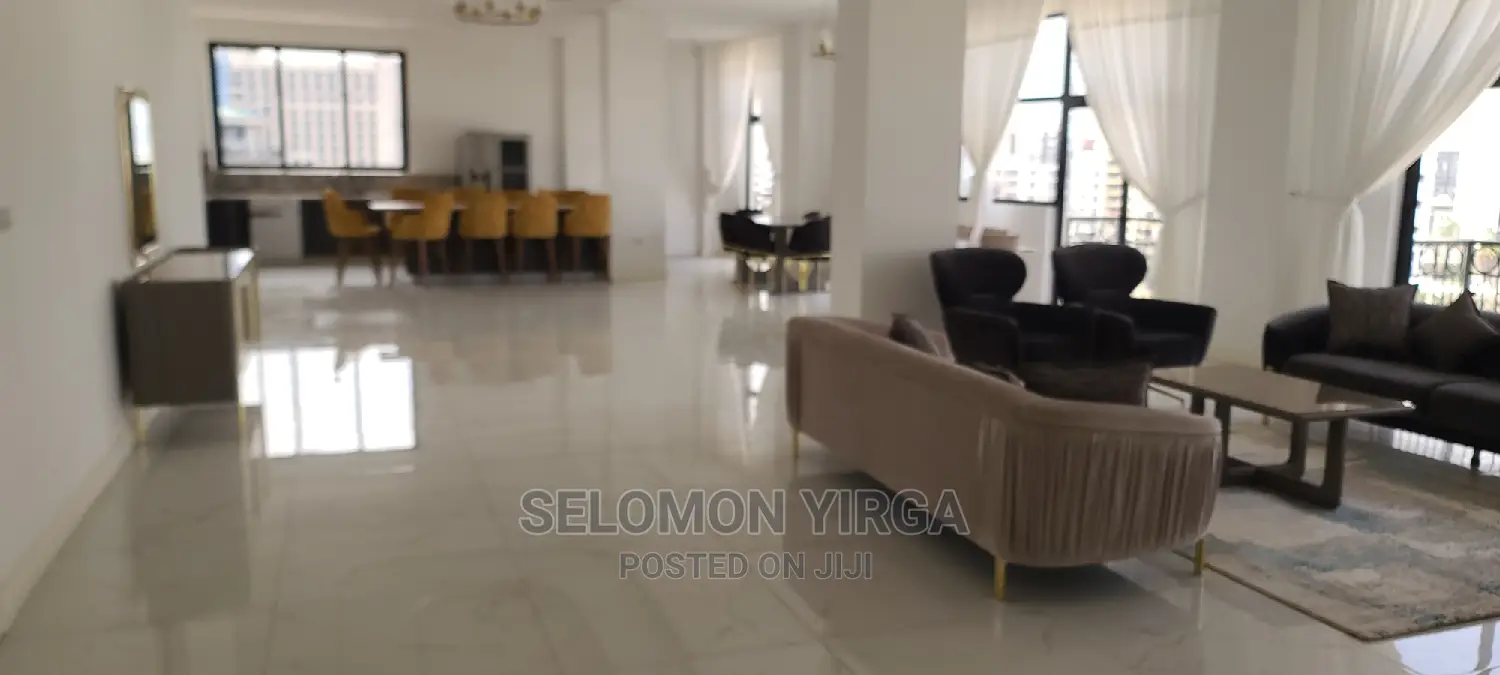 Furnished 4bdrm Penthouse in Adids Ababa, Bole for rent