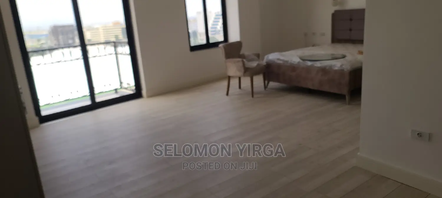 Furnished 4bdrm Penthouse in Adids Ababa, Bole for rent