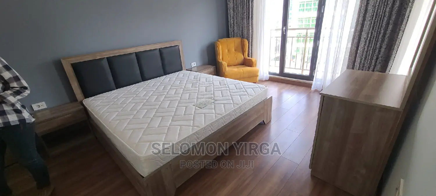 Furnished 4bdrm Penthouse in Adids Ababa, Bole for rent