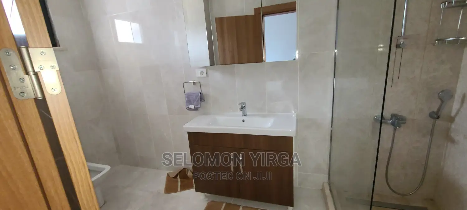 Furnished 4bdrm Penthouse in Adids Ababa, Bole for rent