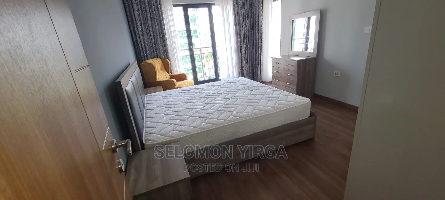 Furnished 4bdrm Penthouse in Adids Ababa, Bole for rent